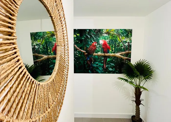 Apartment Penthouse Moderne Vue Ideal Pour Sejour En Famille Olas *